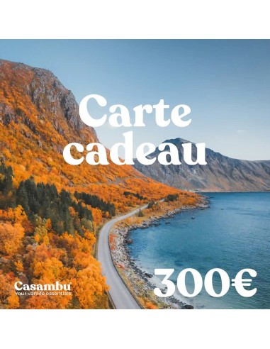 Carte cadeau 300€ est présent 